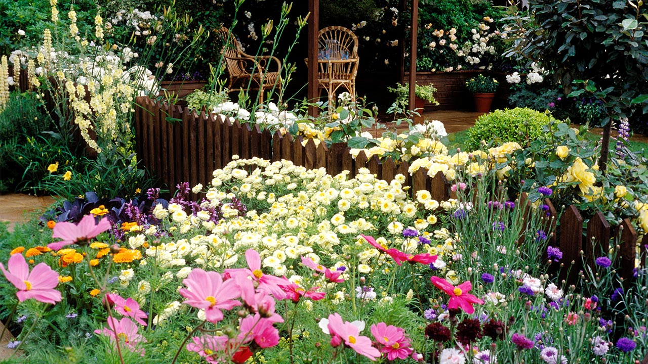 June flowers