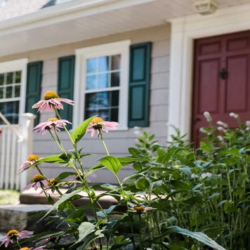 House with flowers