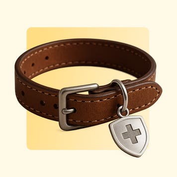 Dog collar