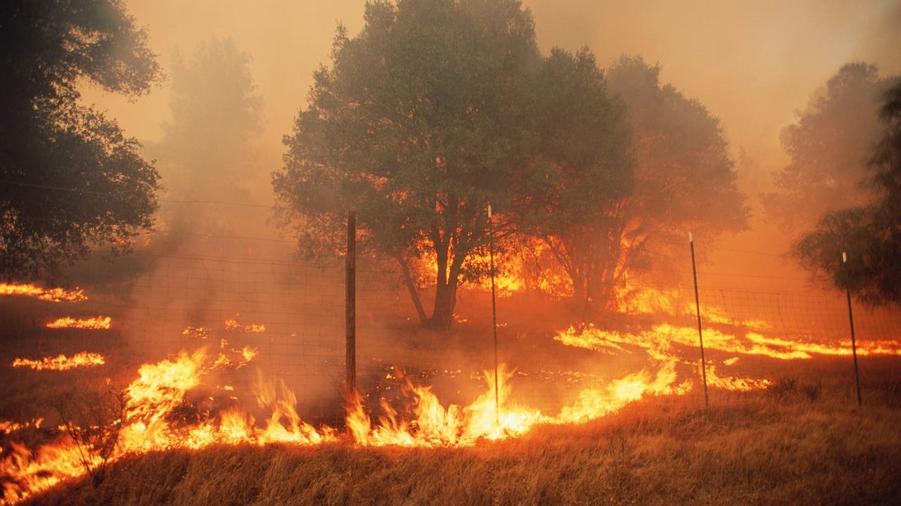 A forest fire in California