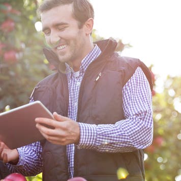 Smiling farmers using digital tablet in sunny apple orchard