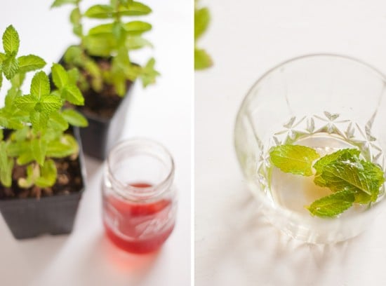 strawberry mint julep recipe strawberry mint julep recipe