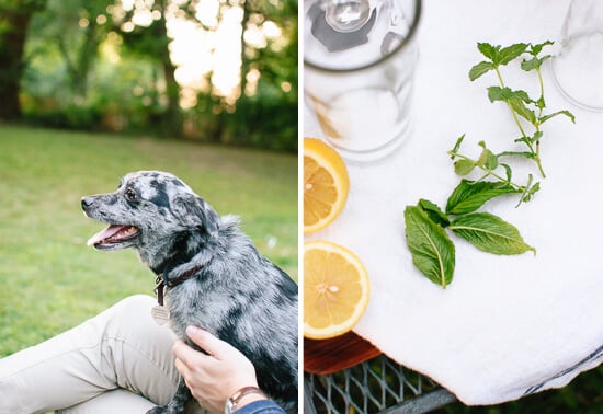 lemon-basil mojito ingredients