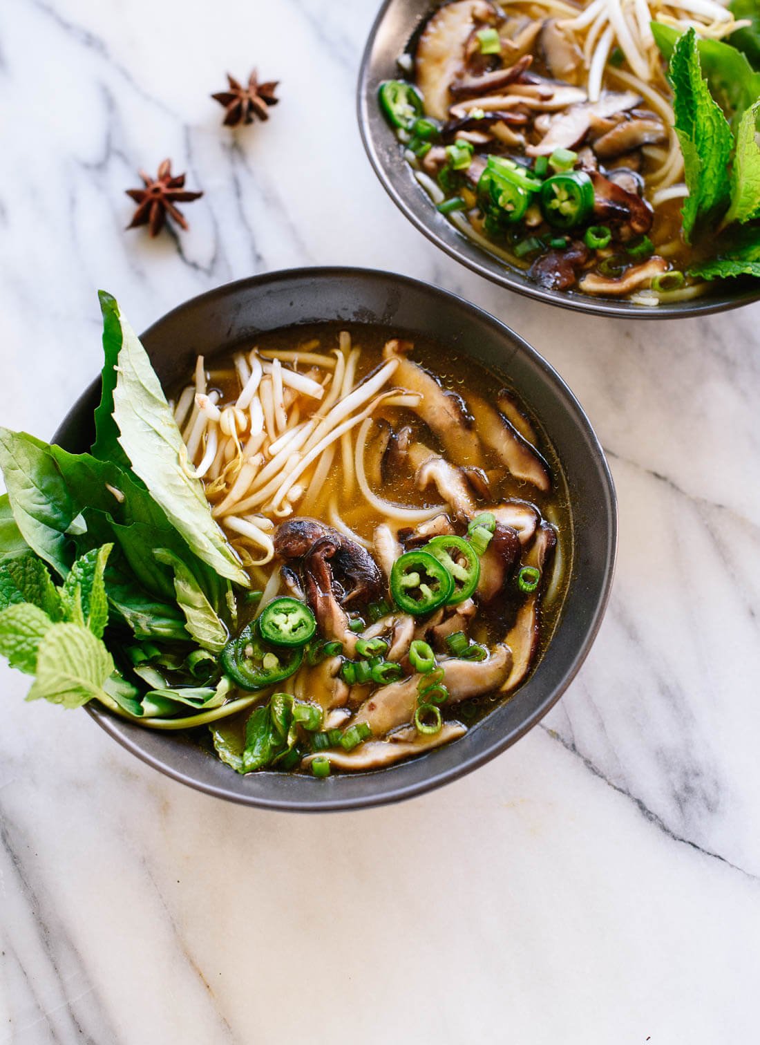 Warm up with delicious homemade vegetarian pho! cookieandkate.com