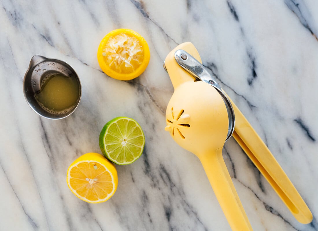citrus juicer